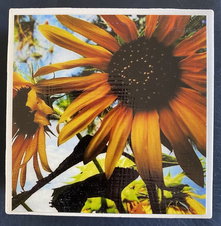 sunflower coasters - Terry Gaskins Art